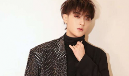 91黄子韬直播,91黄子韬的幕后故事与真实自我