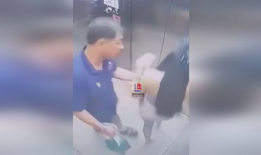 亲胸摸胸视频,情感表达还是道德边界？